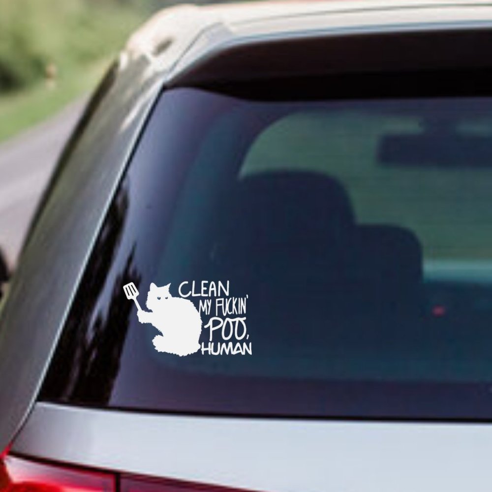 Funny, Sassy Cat- Vinyl Decals Car, Laptop, Windows, Phone Case Sticker